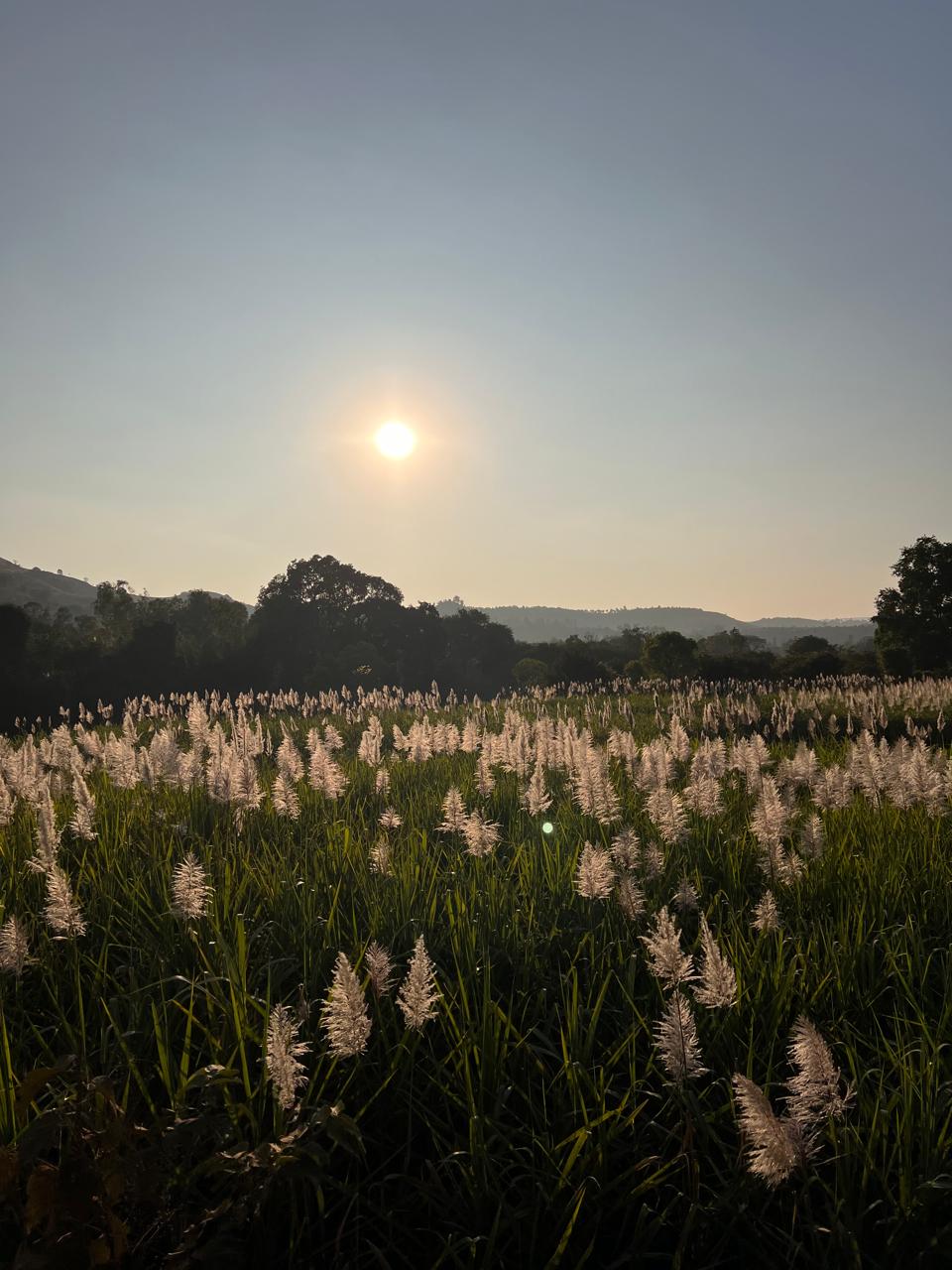 photo 2026 03 11 10 22 15